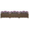 vidaXL Raised Bed 47.2"x15.7"x9.1" Polypropylene