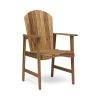 Easter Outdoor Weather Resistant Acacia Wood Adirondack Natural Dining Chairs (Set of 2)