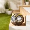 Outdoor Decor Backyard Garden Lawn Solar Garden Light