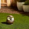 Outdoor Decor Backyard Garden Lawn Solar Garden Light